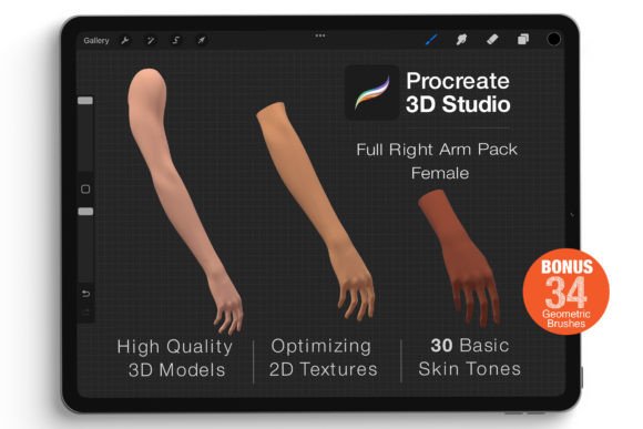 Procreate 3D Model - Right Arm Female: A Powerful Tool for Digital Artists